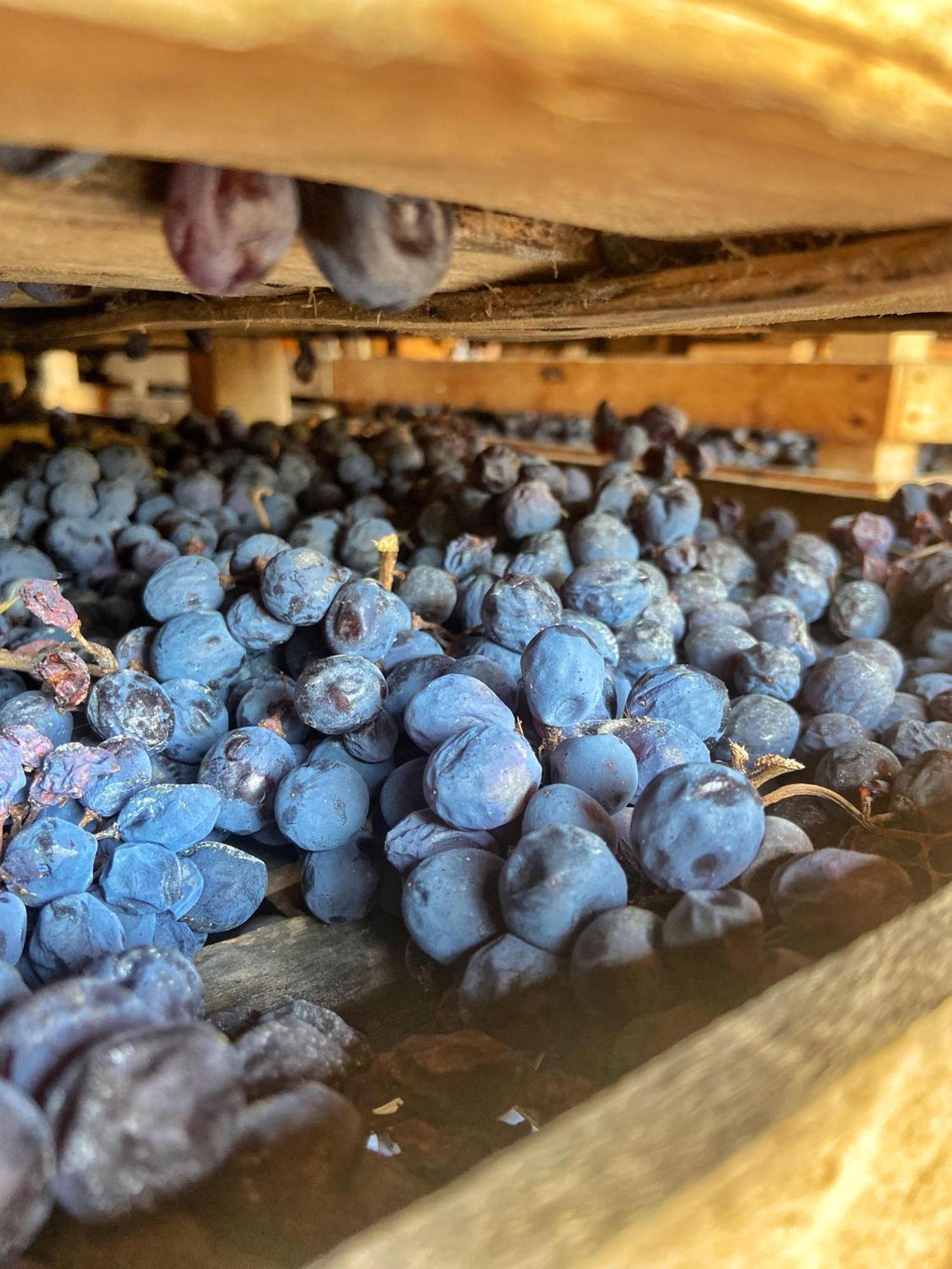 La Vineria Di San Mattia Vila Verona Exterior foto