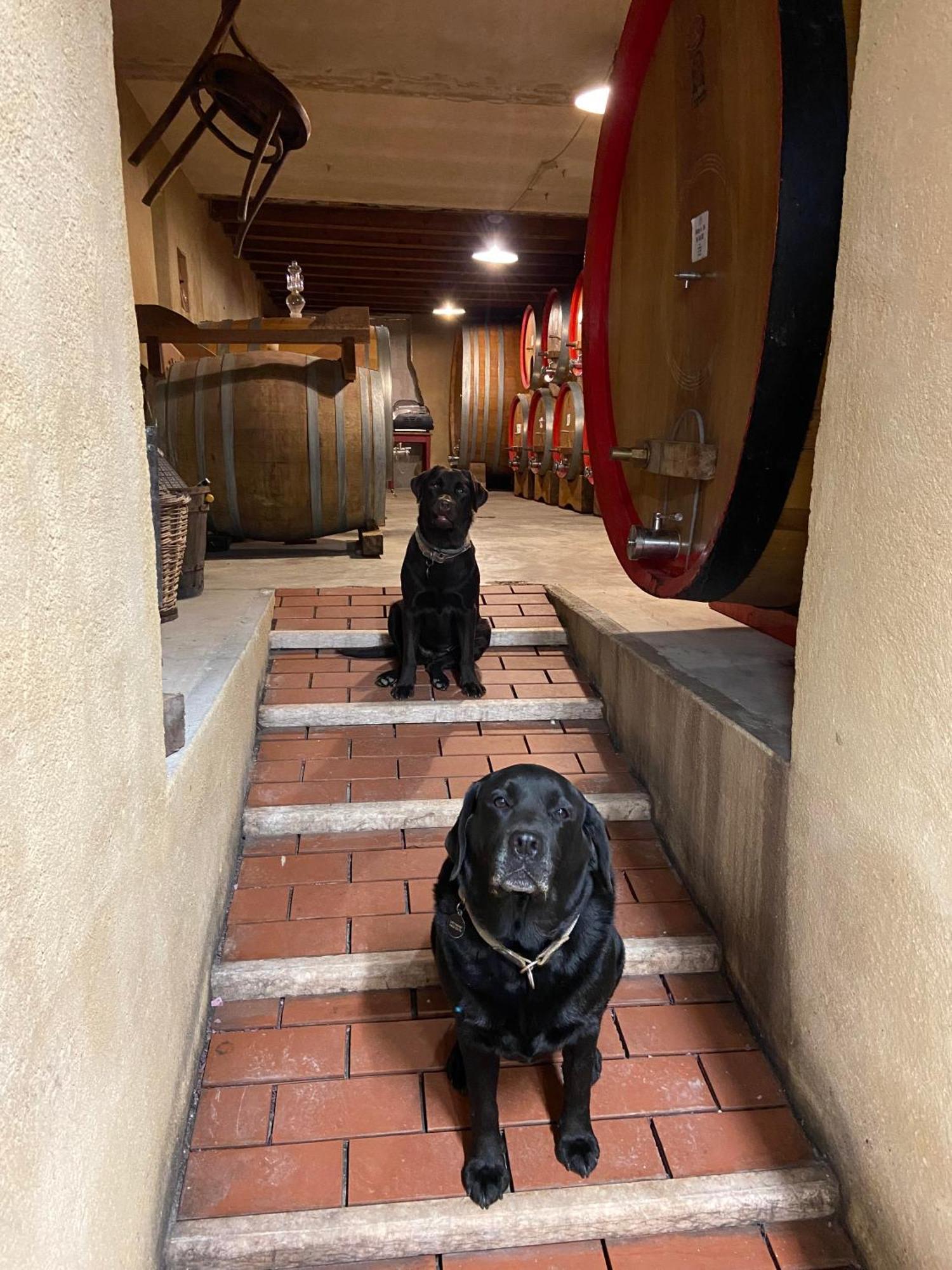 La Vineria Di San Mattia Vila Verona Exterior foto