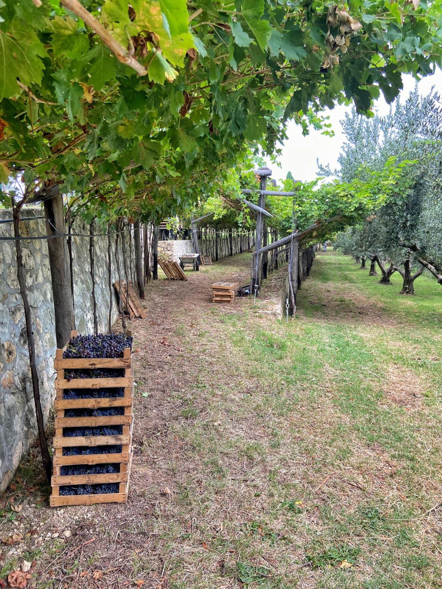 La Vineria Di San Mattia Vila Verona Exterior foto